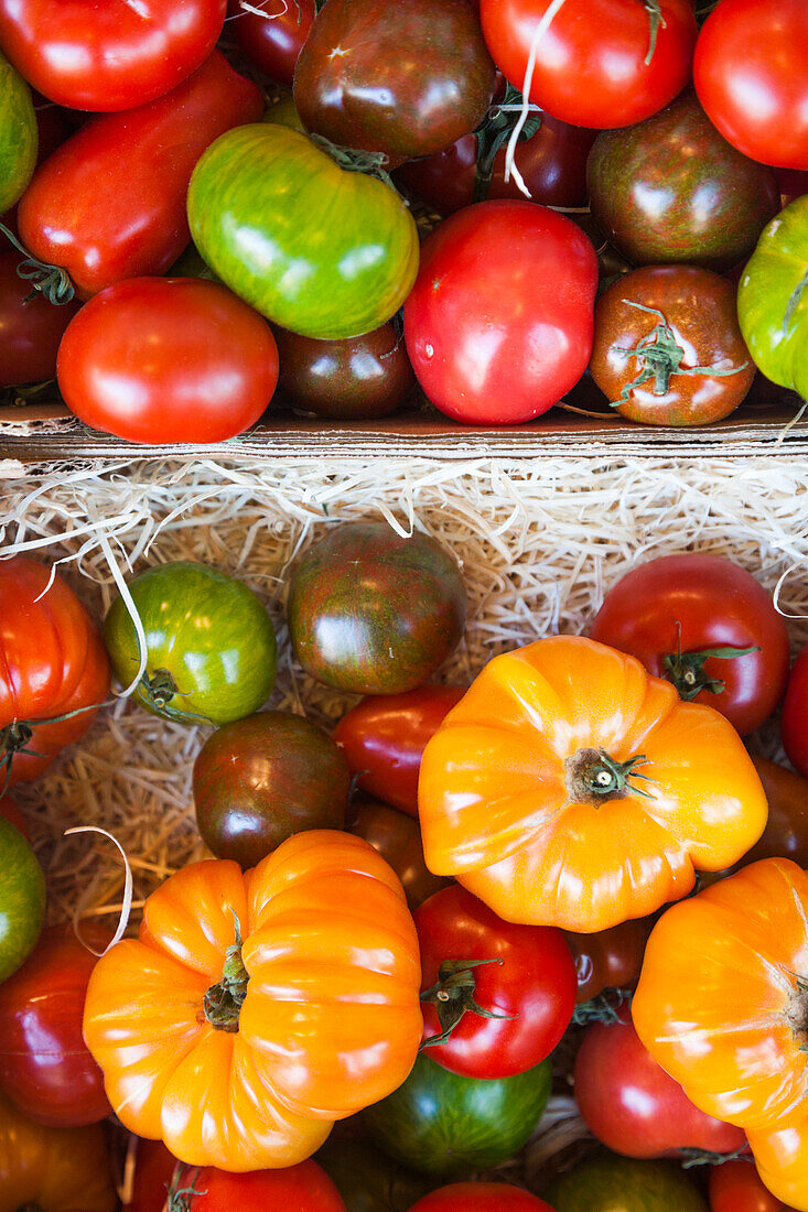 Dänemark, Seeland, Kopenhagen, Torvehallerne KPH, neuer Lebensmittelmarkt im Freien, Tomaten