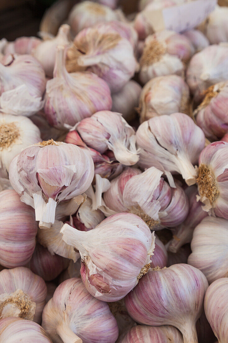 Denmark, Zealand, Copenhagen, Torvehallerne KPH, new outdoor food market, onions