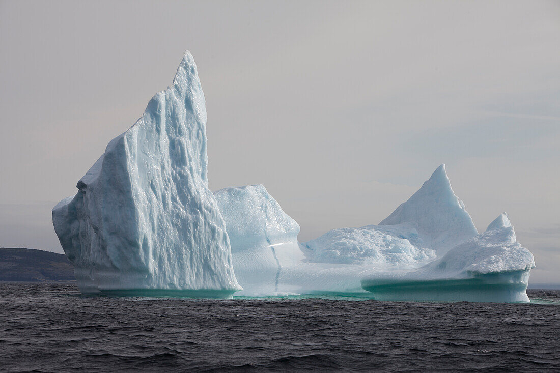 Icebergs, Kings Cove, Newfoundland, Canada