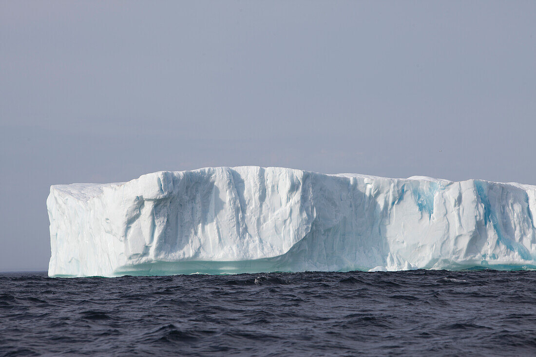 Eisberge, Kings Cove, Neufundland, Kanada