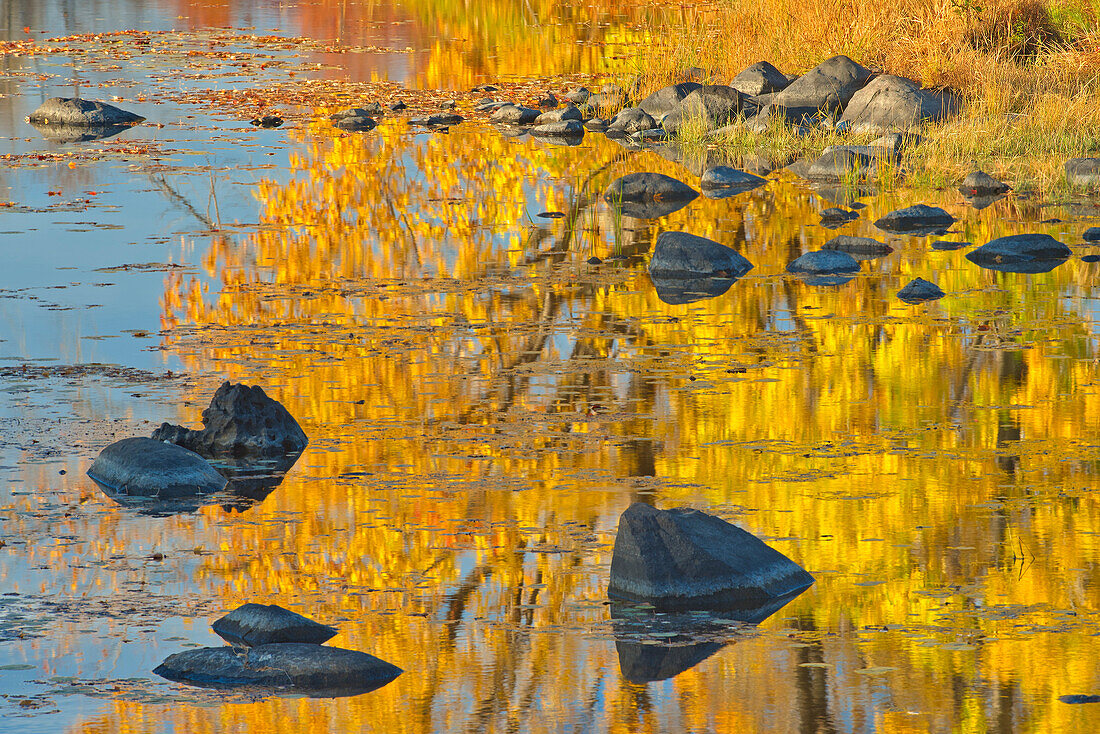 Kanada, Ontario, Weißfisch. Herbstfarben spiegeln sich im Vermilion River