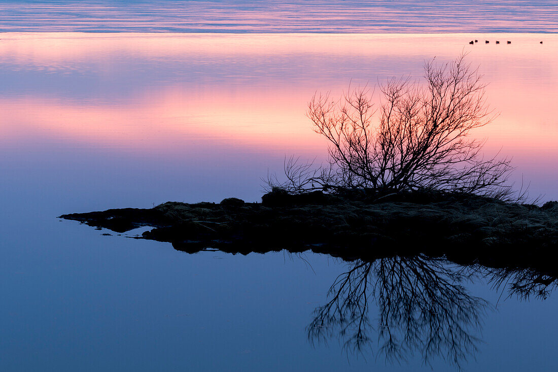 Europa, Nordisland, in der Nähe des Myvatn-Sees, Reykjahlio. Ein farbenfroher Sonnenuntergang spiegelt sich in einem Tundra-Teich.