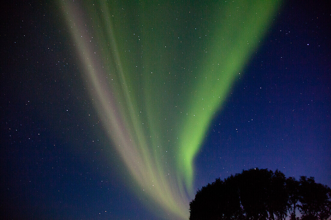 Nordlichter am Seljalandsfoss, Island