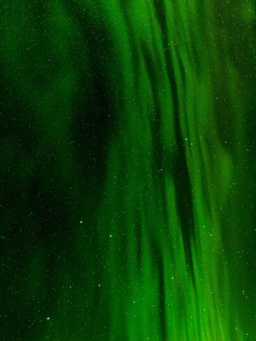 Nordlicht oder Aurora Borealis in der Nähe von Hofn über den Bergen des Vatnajokull-Nationalparks im Winter. Island