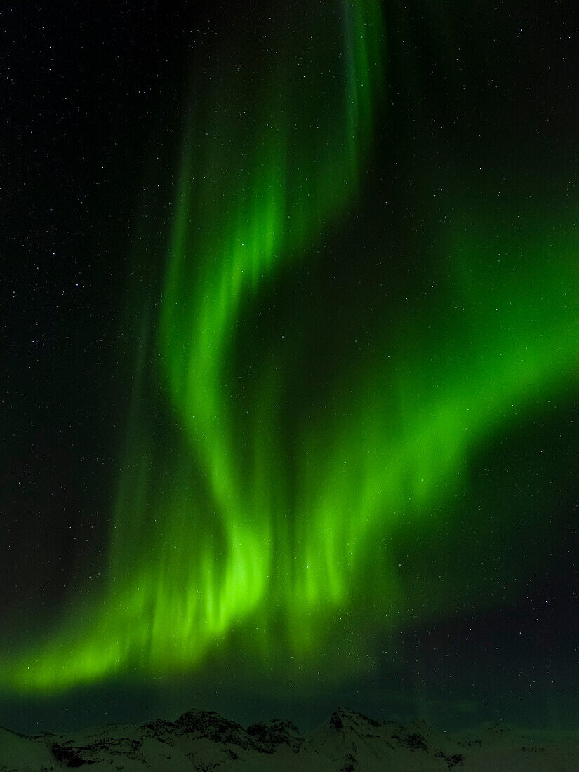 Northern Lights or aurora borealis over the mountains between Thingvellir and Laugarvatn during winter in Iceland.