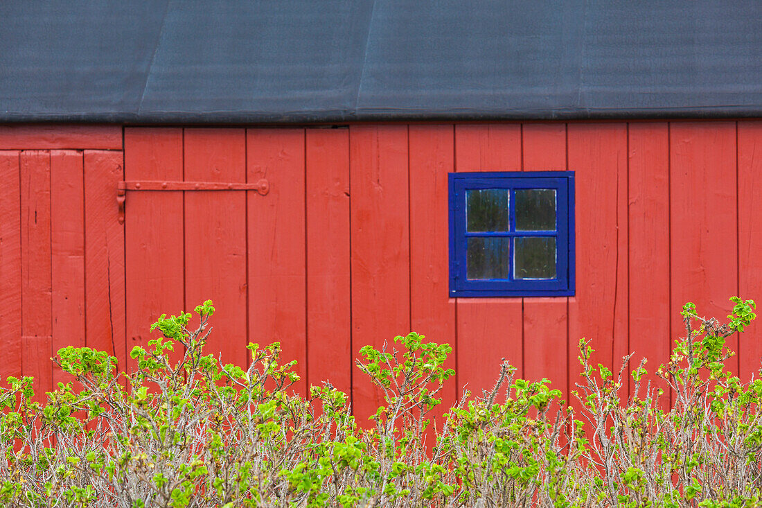 Denmark, Jutland, Gamle Skagen, Old Skagen, red house detail