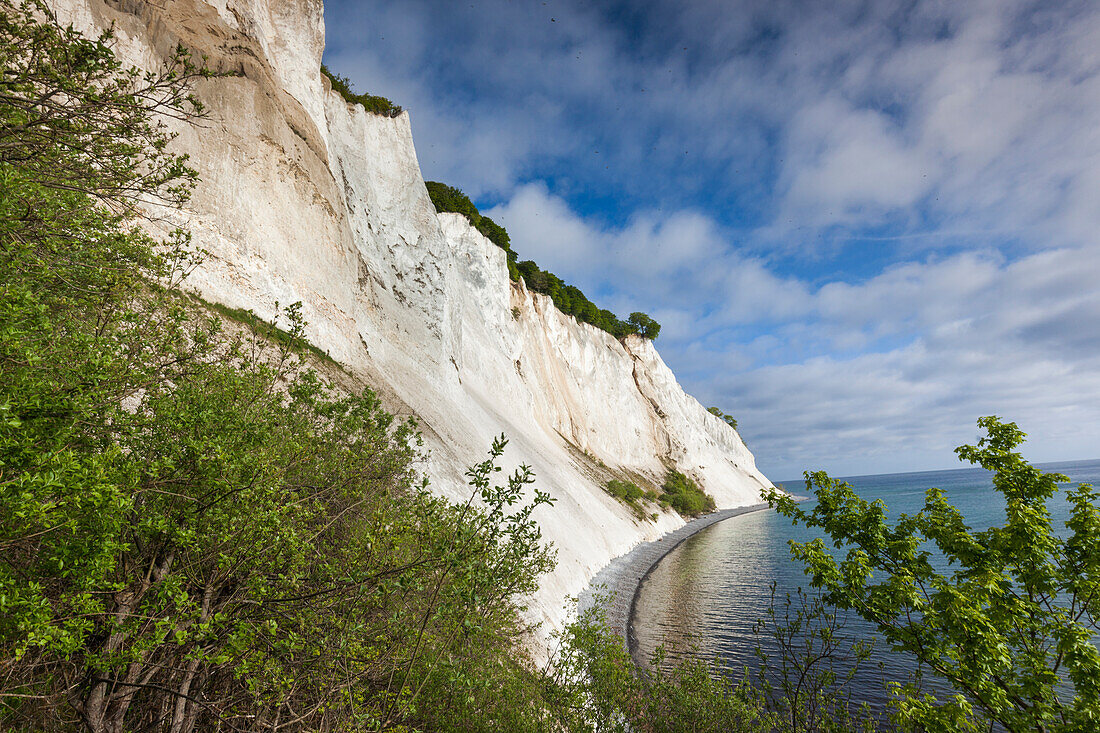 Dänemark, Mon, Mons Klimt, 130 Meter hohe Kreidefelsen vom Ufer aus