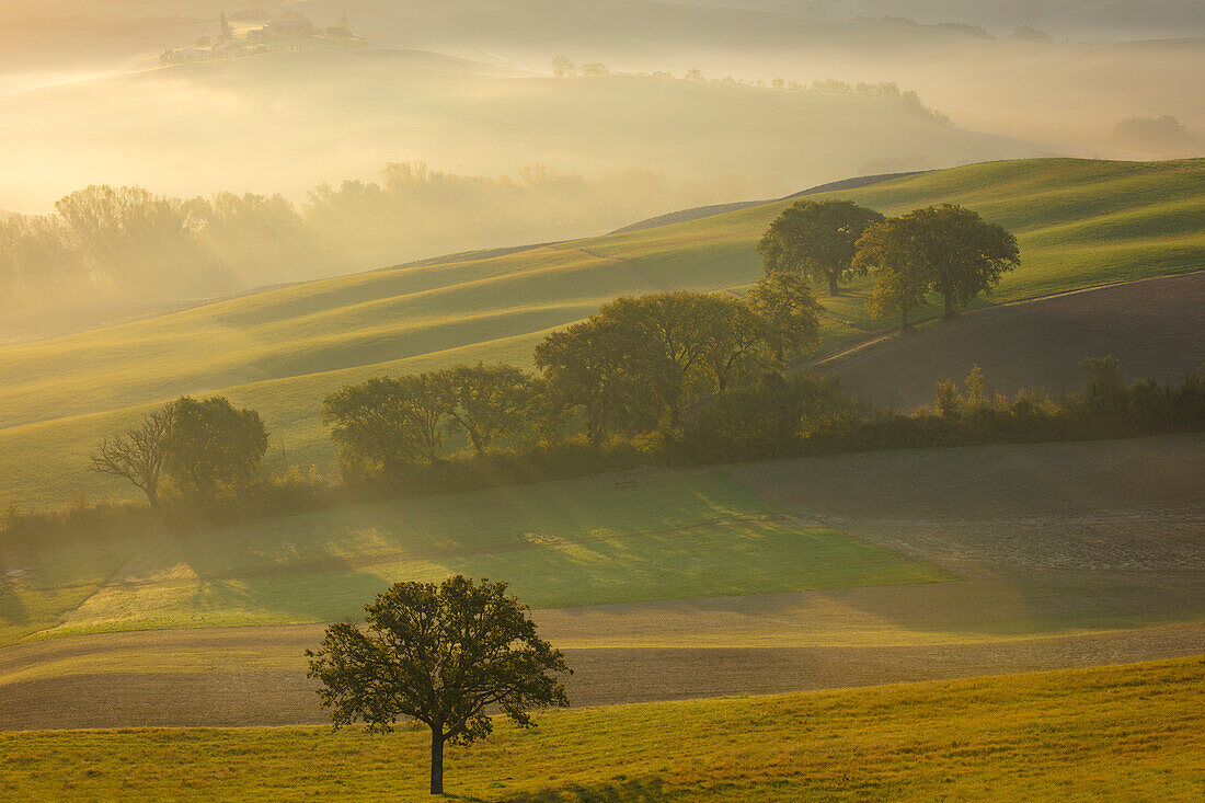 Hazy sunrise over the countryside of Val d'Orcia near San Quirico d'Orcia, Tuscany, Italy