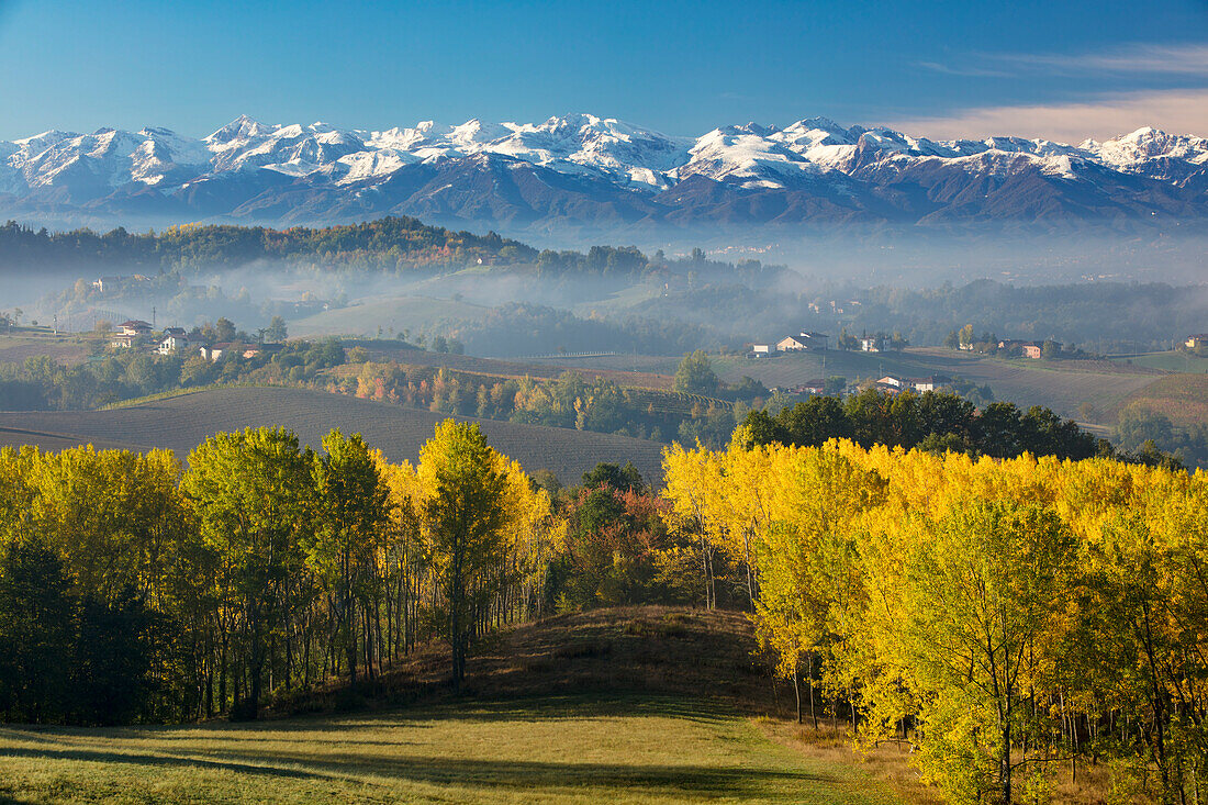 Herbstlicher Blick über die Poebene auf die Ligurischen Alpen bei Monforte d'Alba, Piemonte, Italien