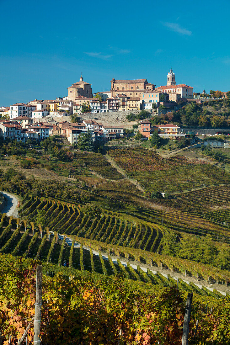 View over Nebbiolo vineyards to medieval town of La Morra, Piedmont, Italy