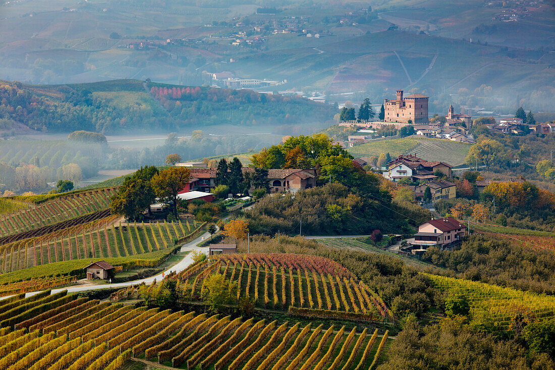 View over vineyards toward Castello di Grinzane Cavour, Langhe Region, Piedmont, Italy