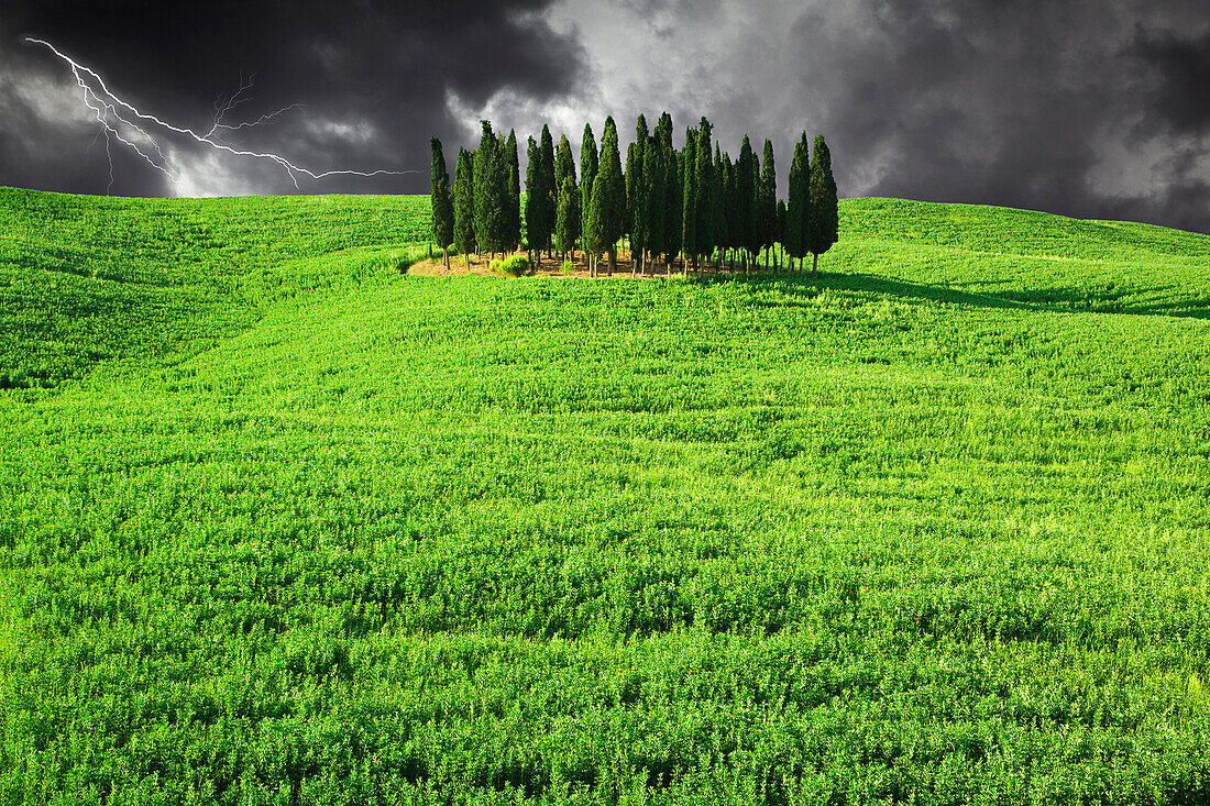 Italy, Tuscany. Lightning behind cypress trees on hill