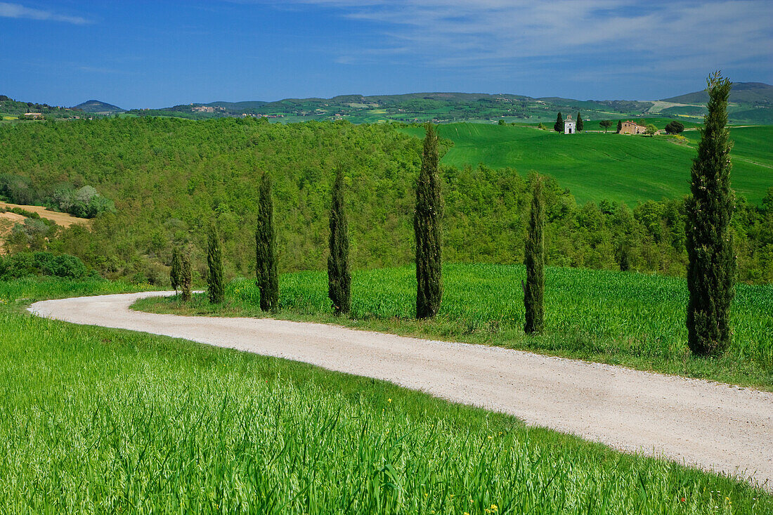 Italien, Toskana. Schotterstraße mit Vitaleta-Kapelle in der Ferne