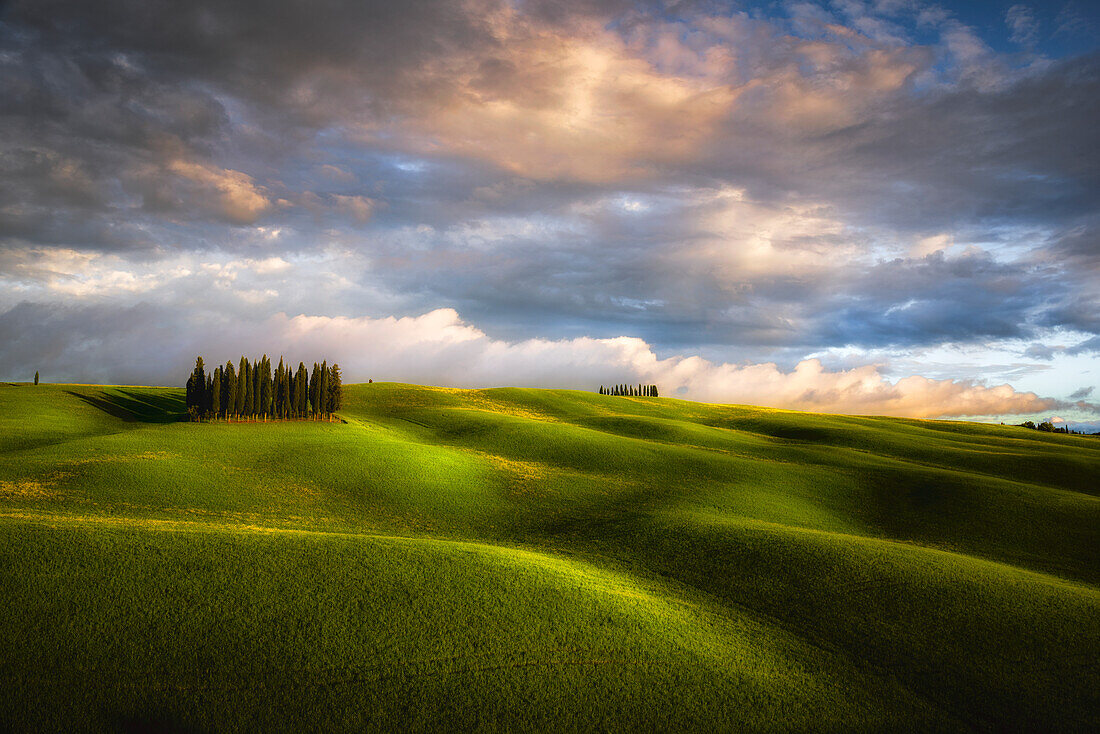 Italy, Tuscany, Val d'Orcia. Cypress grove and clouds at sunset