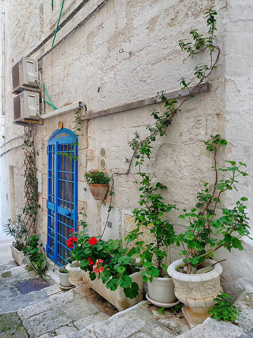 Italy, Puglia, Brindisi, Itria Valley, Ostuni. Blue door and potted plants along the alleyways and streets of old town Ostuni.