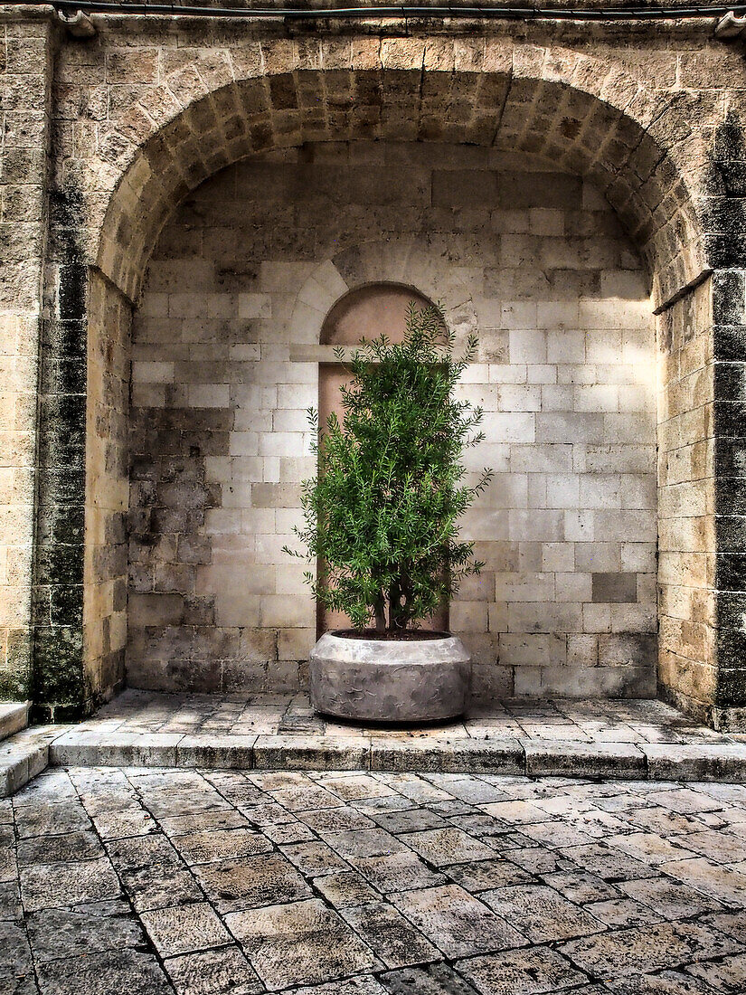 Italy, Bari, Apulia, Monopoli. Arch with potted plants in the courtyard near the Basilica of the Madonna della Madia.