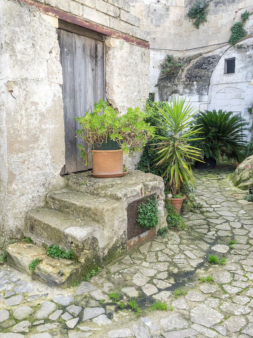 Italien, Basilikata, Matera. Pflanzen schmücken die Außenwände der Sassi-Häuser.