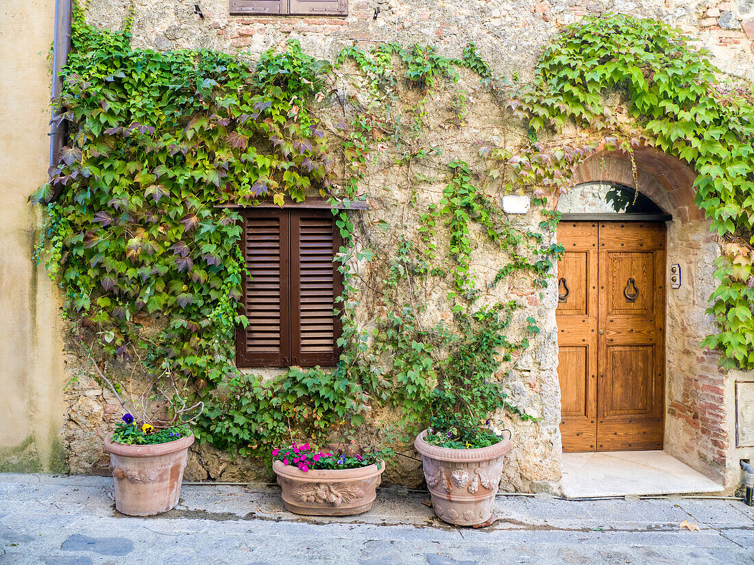 Italien, Toskana. Eingang zu einem mit Topfpflanzen geschmückten Haus in der Toskana.
