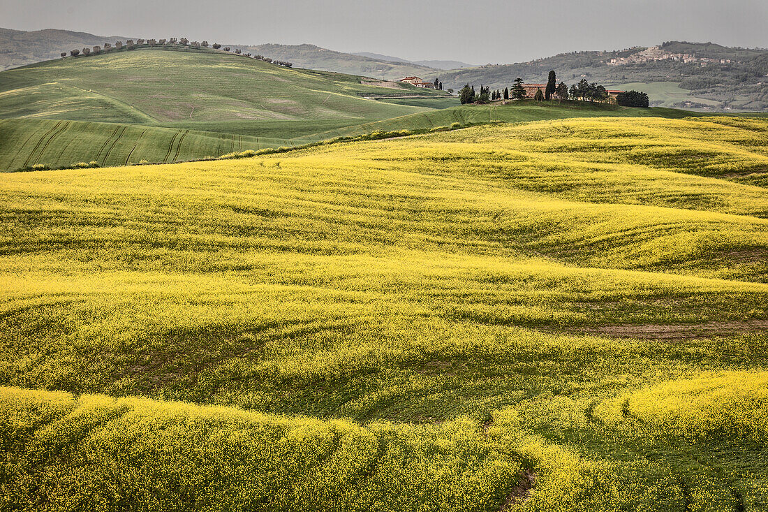 Italy, Tuscany, Val d'Orcia