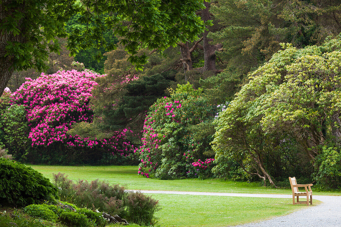 Irland, Grafschaft Kerry, Ring of Kerry, Killarney, Killarney-Nationalpark, Gärten im Frühling