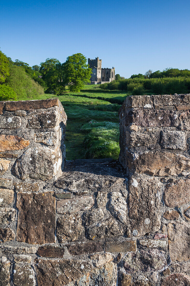 Ireland, County Wexford, Hook Peninsula, Saltmills, Tintern Abbey, 13th century