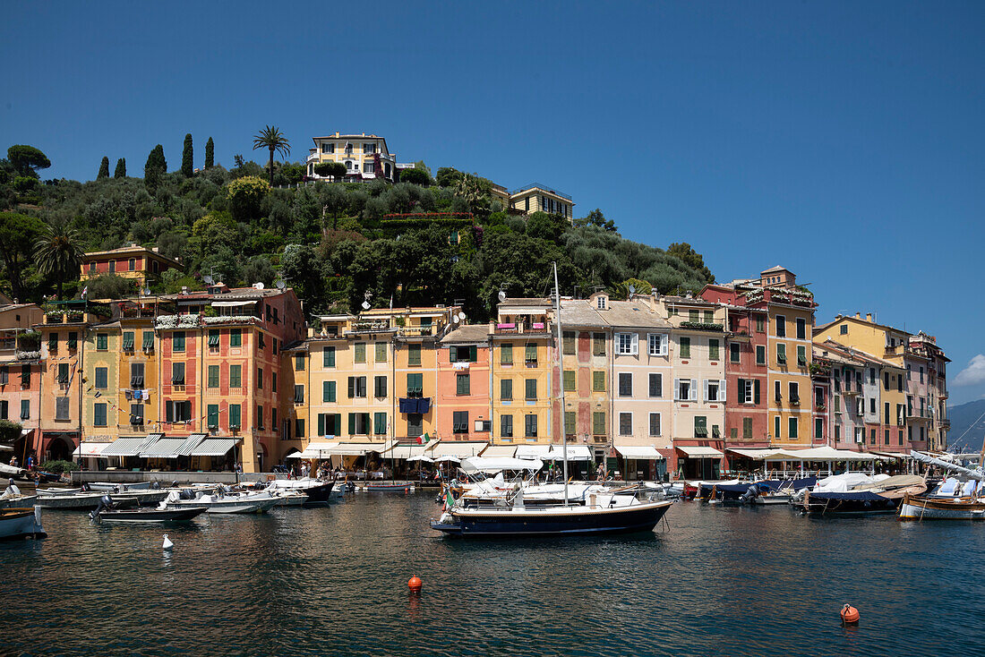 Italien, Provinz Genua, Portofino. Gepflegtes Fischerdorf am Ligurischen Meer, pastellfarbene Gebäude mit Blick auf den Hafen