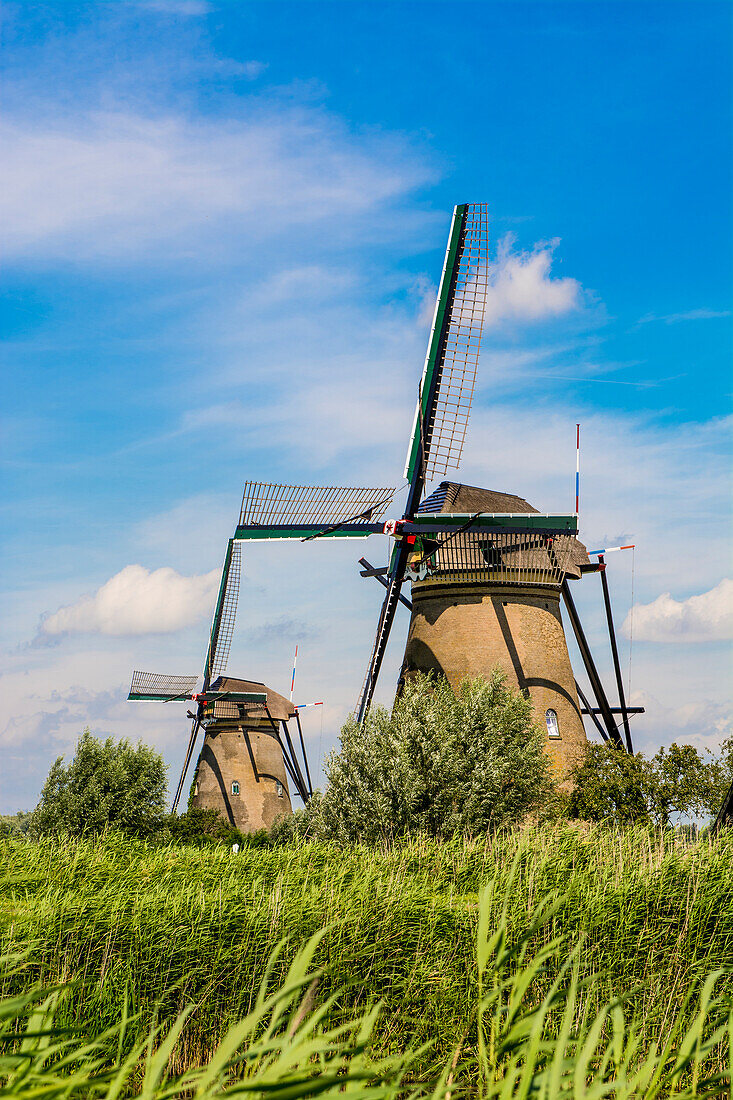 Windmill in Unesco World Heritage Site, Kinderdijk, Holland, Netherlands.