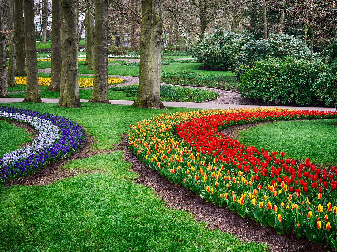 Niederlande, Blumenausstellungen in den Keukenhof-Gärten