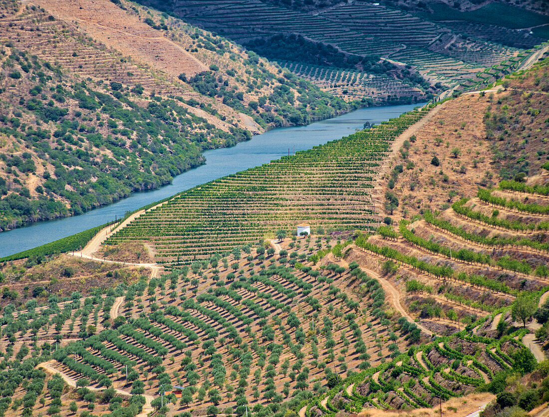 Portugal, Douro-Tal. Blick auf den Fluss Douro und die Weinberge