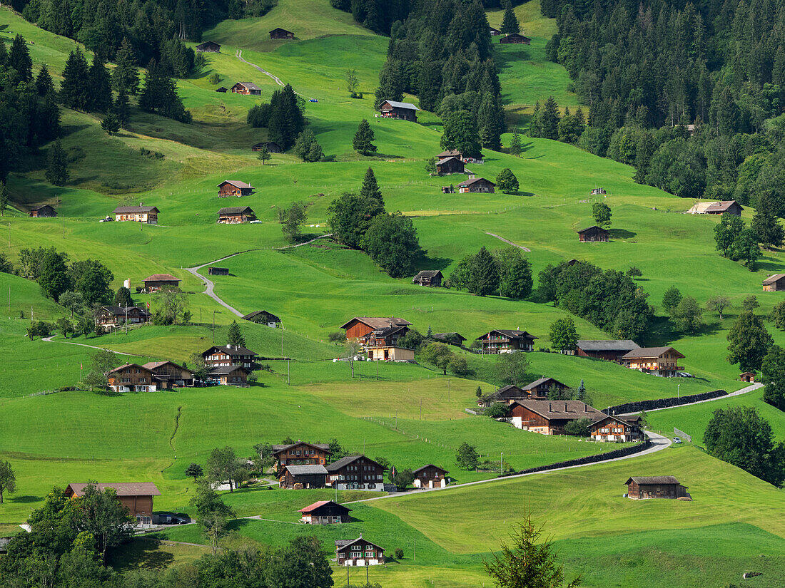 Switzerland, Bern Canton, Grindelwald, Apline farming community