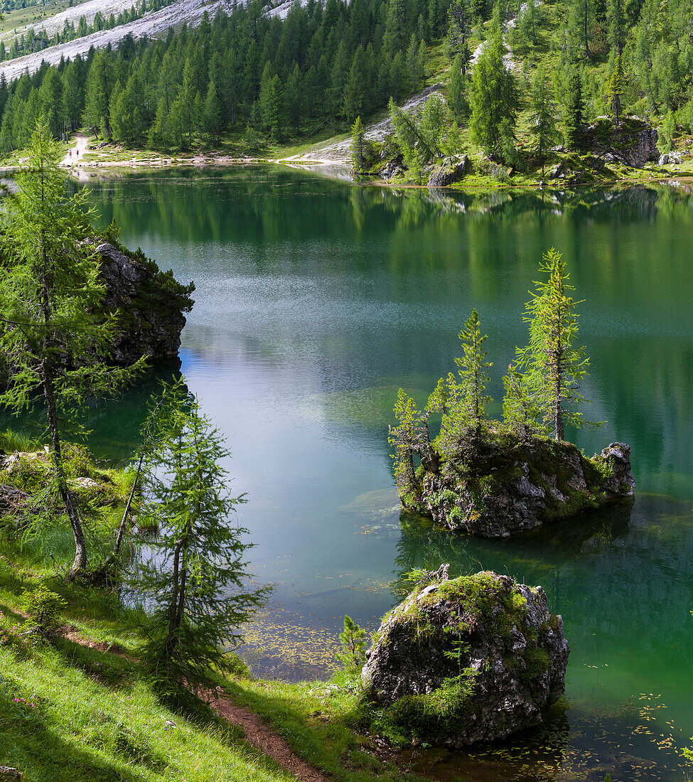 Lago de Federa at Croda da Lago in the Dolomites of the Veneto near Cortina d'Ampezzo. Part of the UNESCO World Heritage Site, Italy.