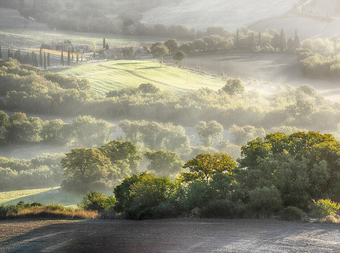 Italy, Tuscany, Morning light over the fields of Winter Wheat above the Tuscan Landscape