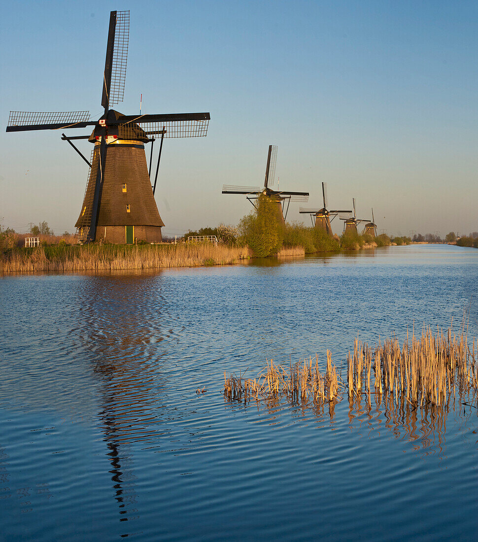 Kinderdijk Windmühlen, Holland