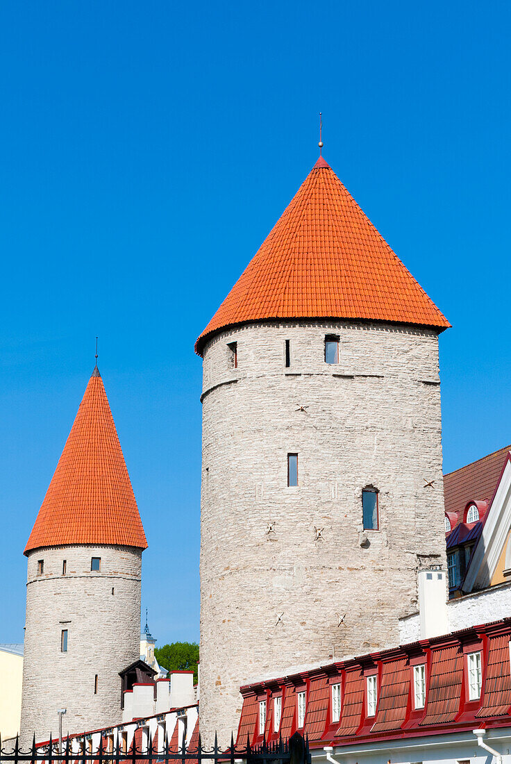 The old city walls of the Old Town of Tallinn, UNESCO World Heritage Site, Estonia, Baltic States
