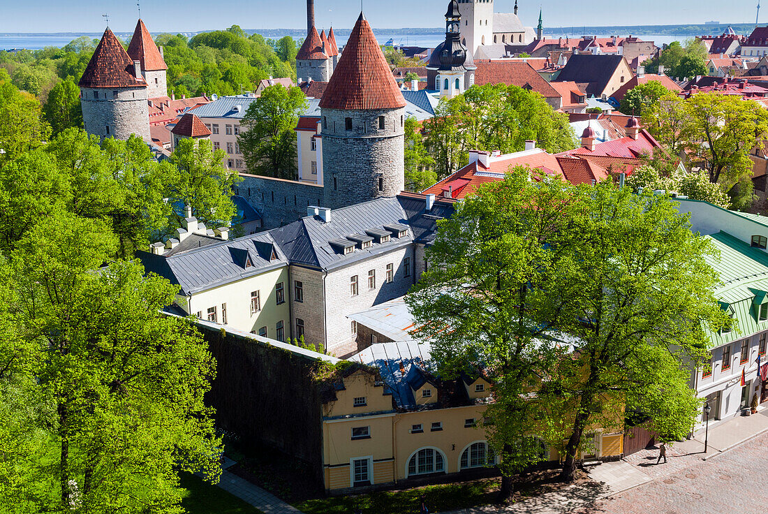 View of Tallinn from Toompea hill, Old Town of Tallinn, UNESCO World Heritage Site, Estonia, Baltic States
