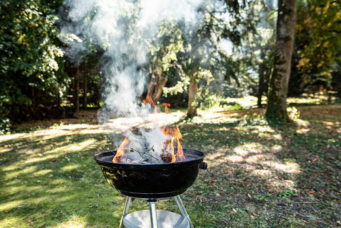 Barbecue-Grill im Garten