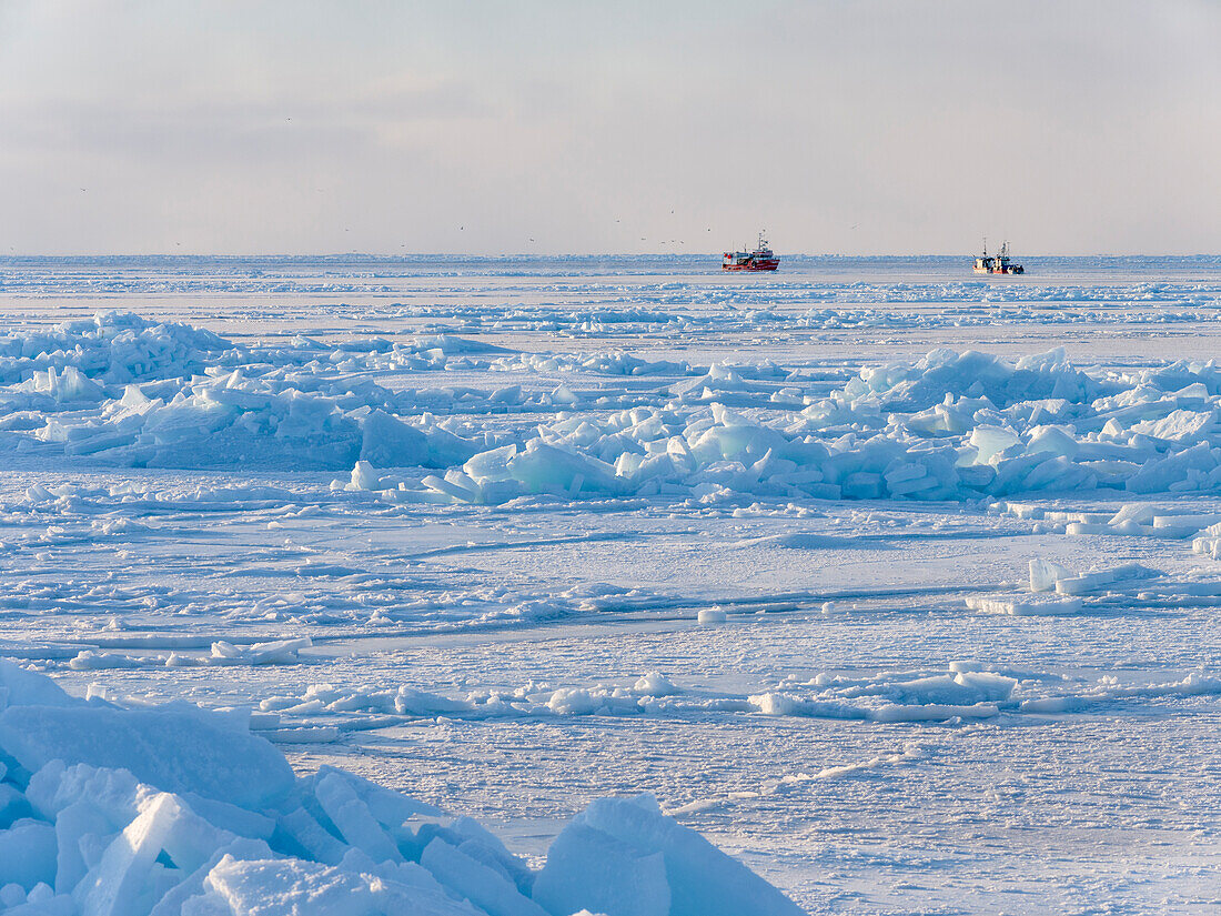 Schiffe auf dem Meereis der zugefrorenen Diskobucht im Winter, Westgrönland, Dänemark