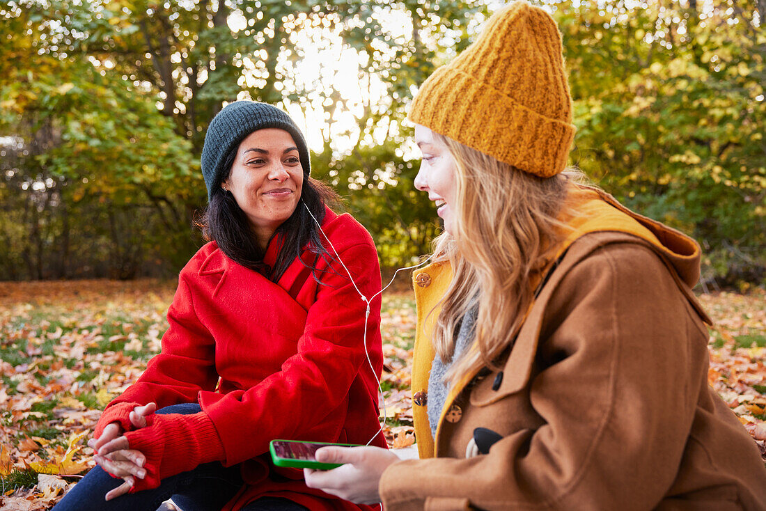 Glückliche Freunde in einer Herbstlandschaft