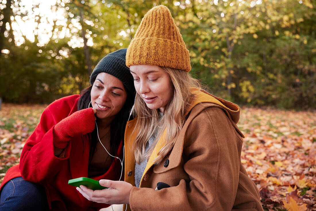 Glückliche Freunde in einer Herbstlandschaft