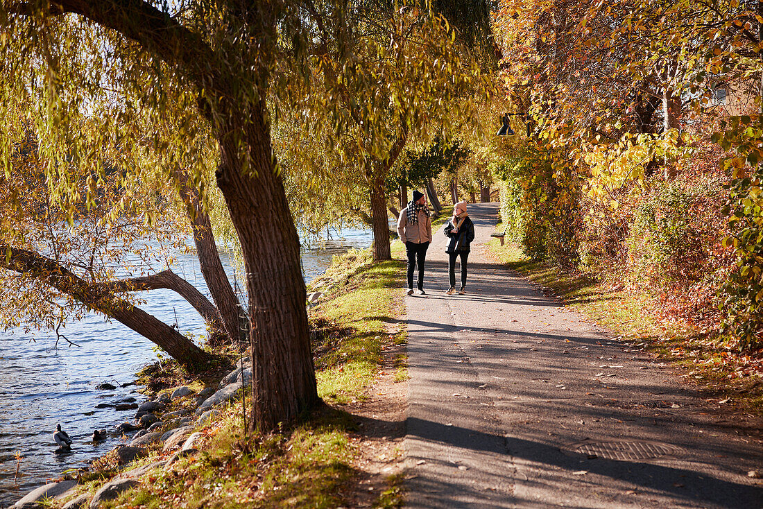 Mann und Frau spazieren im herbstlichen Park