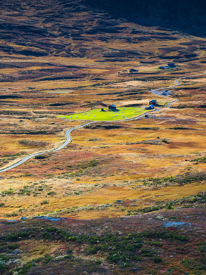 High angle view of road through meadow