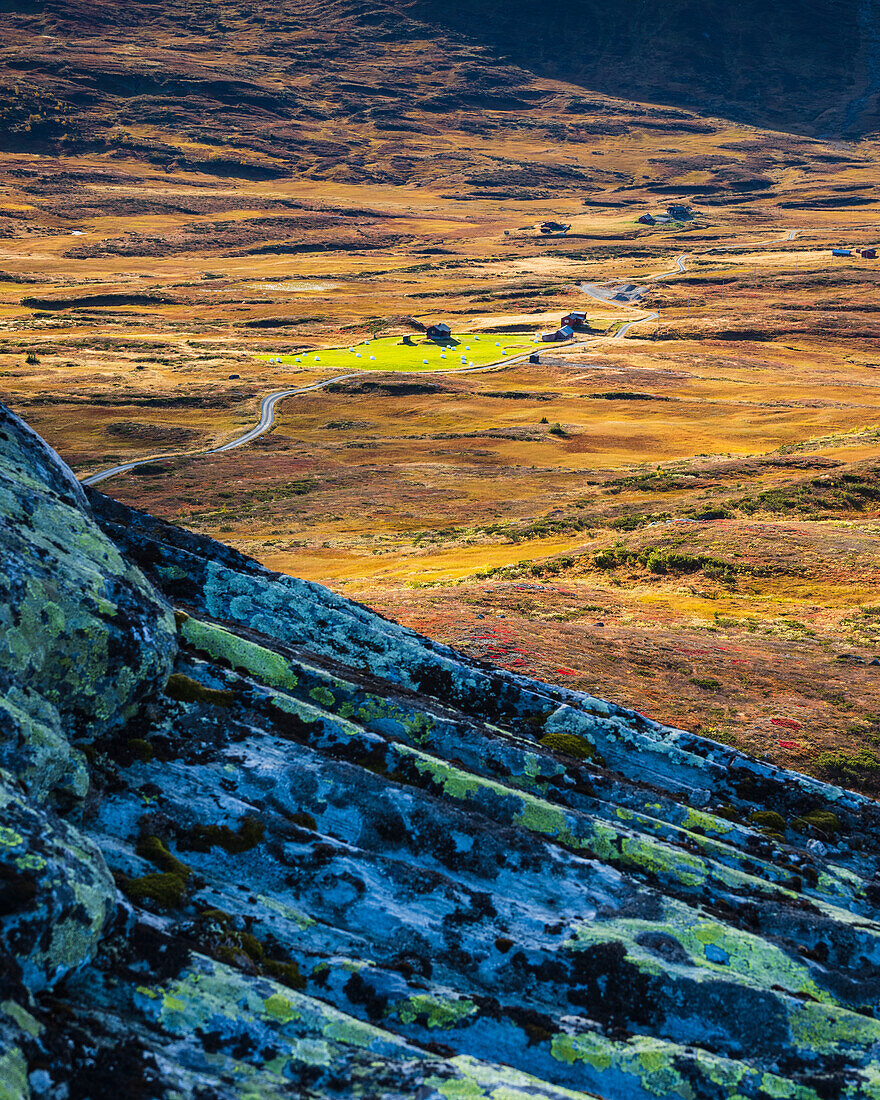 High angle view of road through meadow