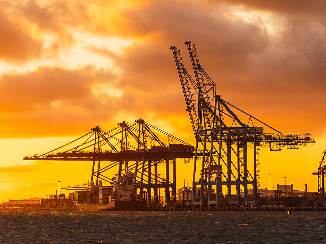 Shipping cranes at sunset