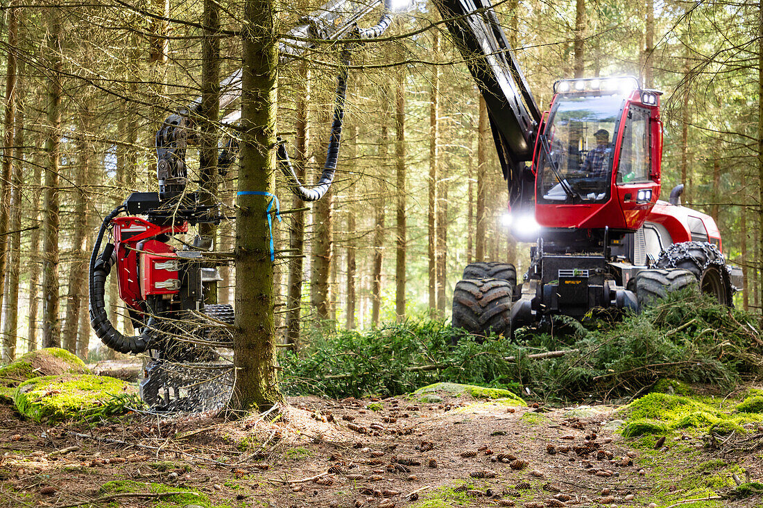 Forest machine working in forest