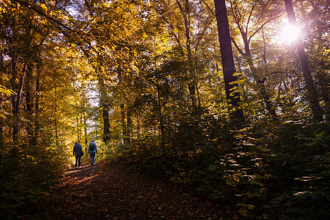 Menschen spazieren im Herbstwald