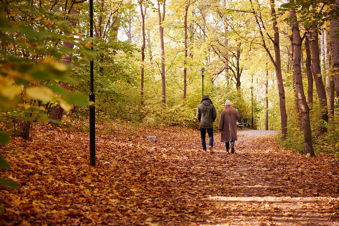 Ehepaar spaziert im Herbstwald