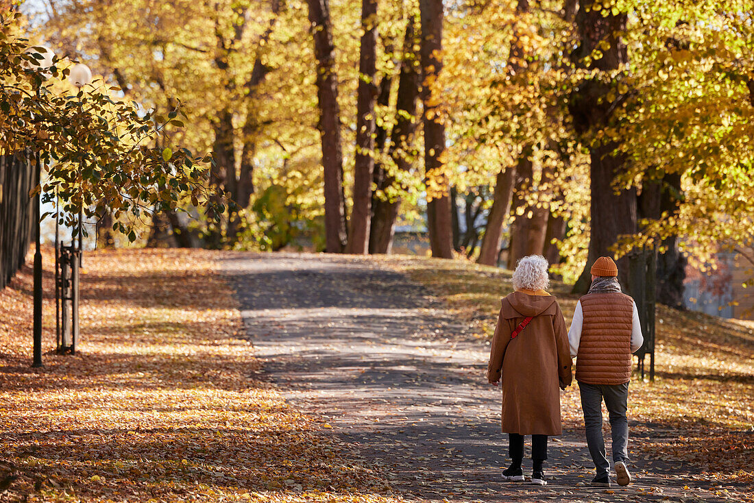 Senior couple walking in autumn park