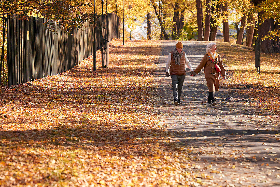 Senior couple walking in autumn park