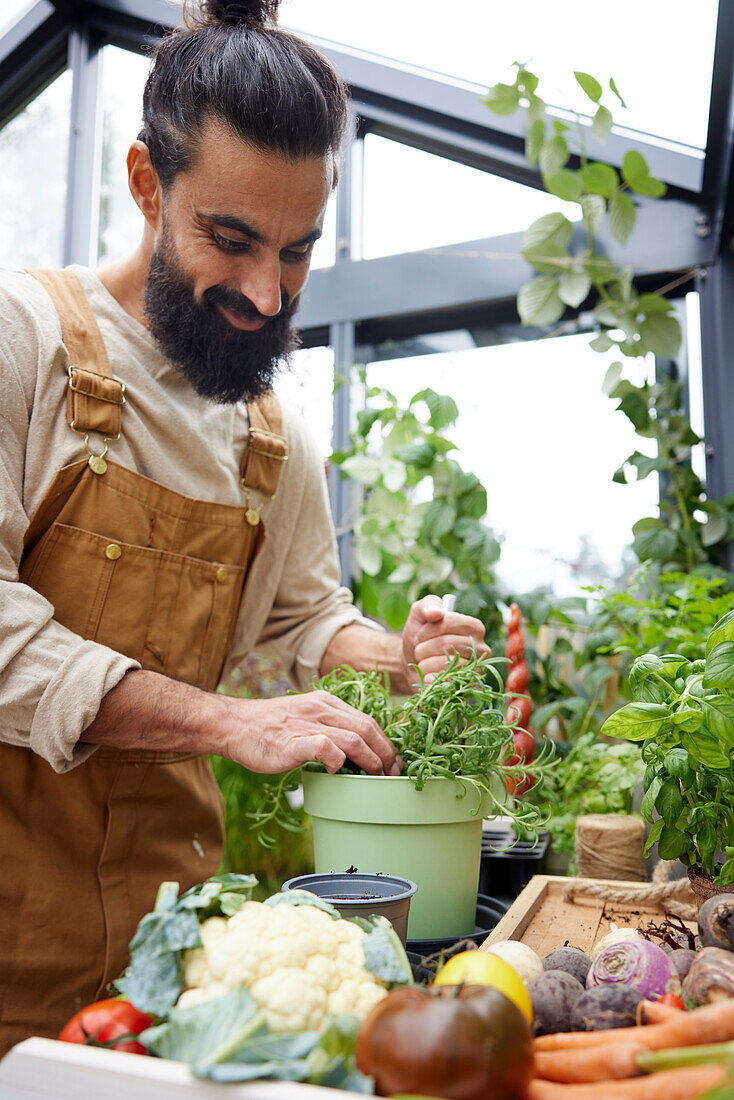 Mann bei der Gartenarbeit im Gewächshaus