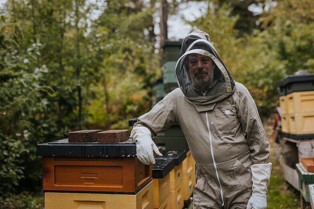 Imker steht neben dem Bienenstock